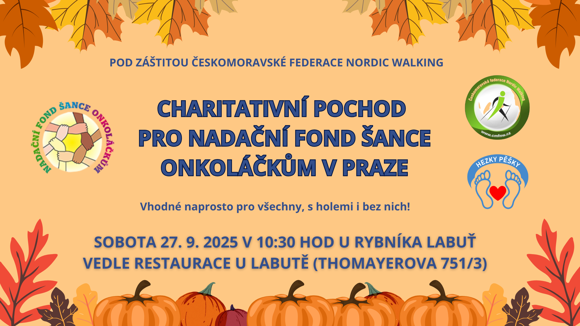Charitativní pochod - final